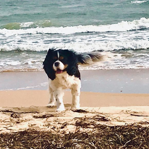 Meet your Posher, Charles - Picture 1 of 1